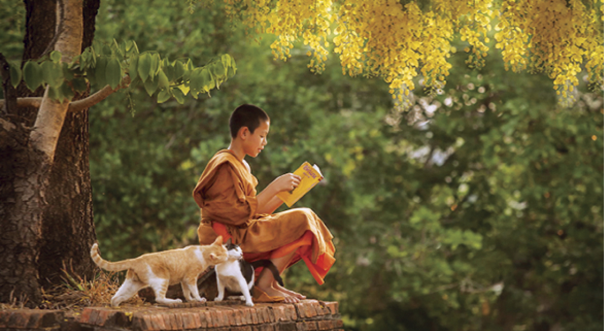 Mối quan hệ giữa nghiệp và đạo đức Phật giáo (Thích Nữ Trí Tuyền) - Tạp Chí Văn Hóa Phật Giáo