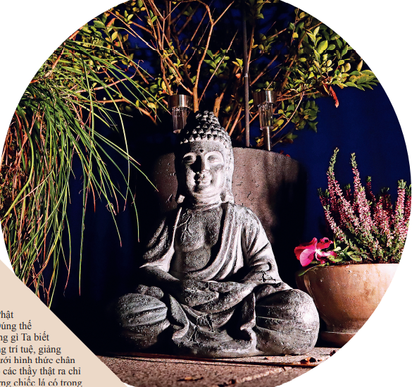 Thiết thực hiện tại qua dụ ngôn Lá trong bàn tay và lá trong rừng (NCS.Thích Nữ Kiều Tuệ Quang) - Tạp Chí Văn Hóa Phật Giáo